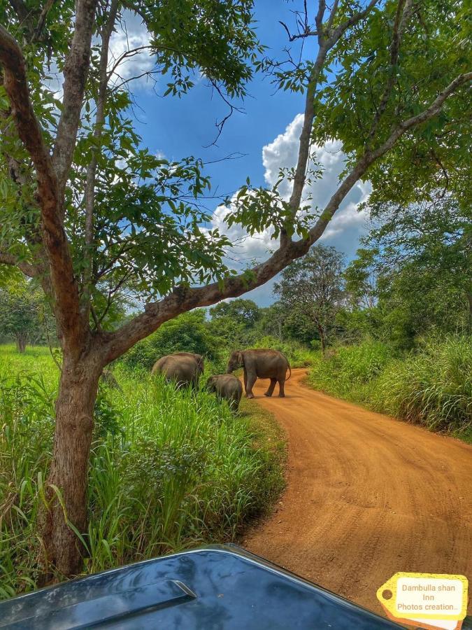 Dambulla Shan Inn Bagian luar foto