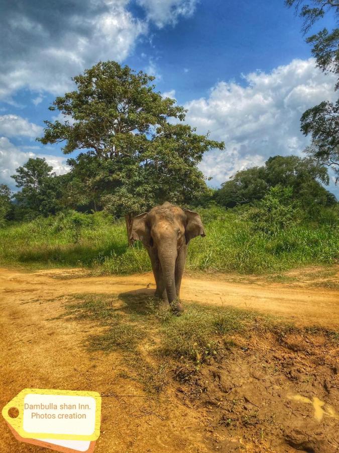 Dambulla Shan Inn Bagian luar foto